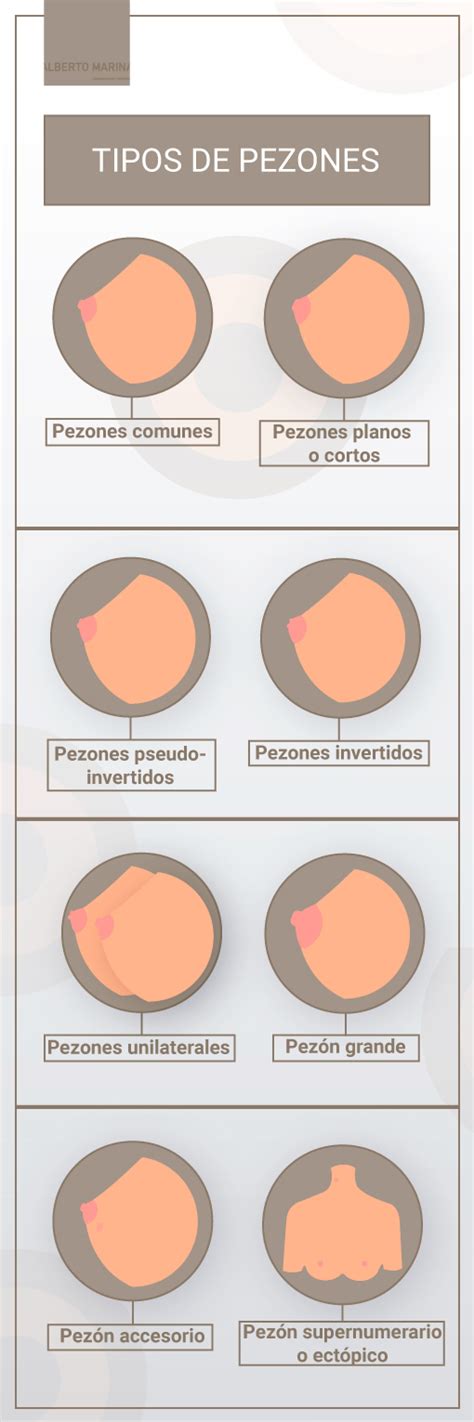 pezones grandes|Conoce los tipos de pezones que existen